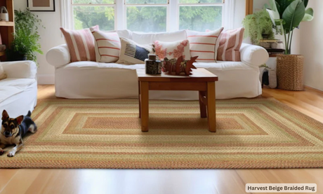 Oval vs. Rectangular Braided Rugs: Which Is Best for Your Space?