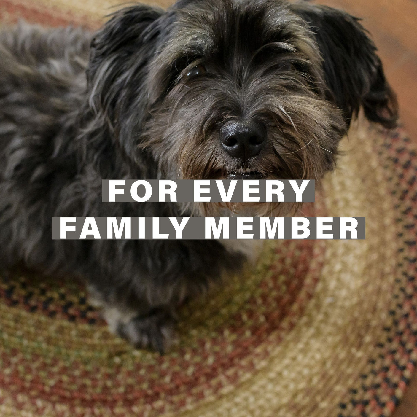 Gingerbread Jute Brown Braided Rugs