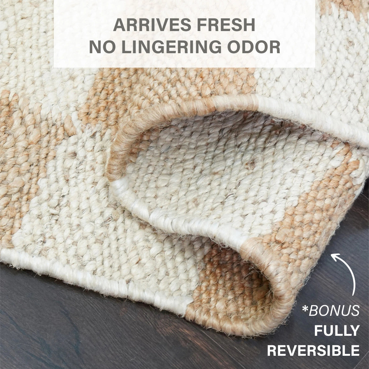 Mesa Handwoven Reversible Jute Checkered Area Rug in Tan and Linen White