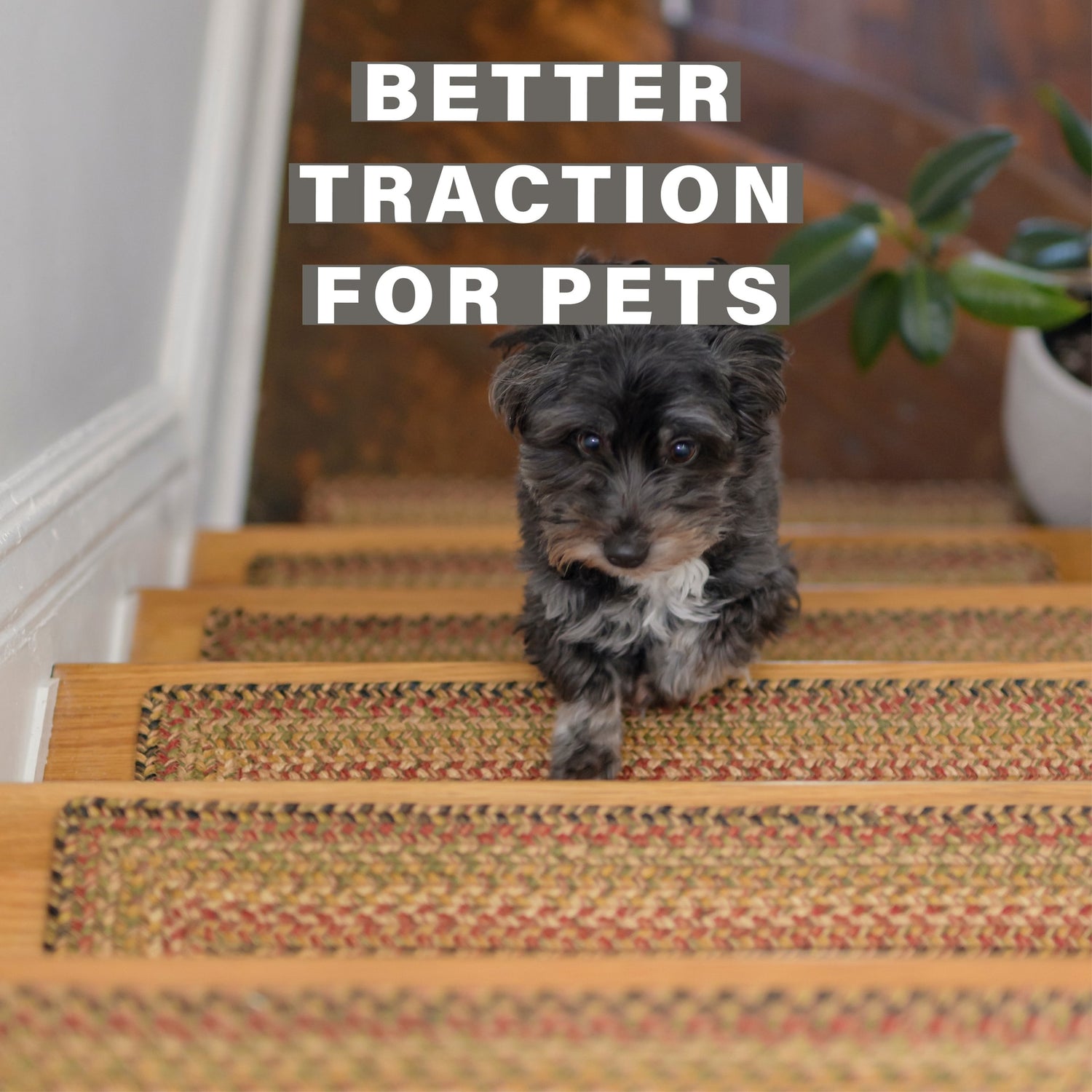 Kingston Multi Color Jute Stair Tread