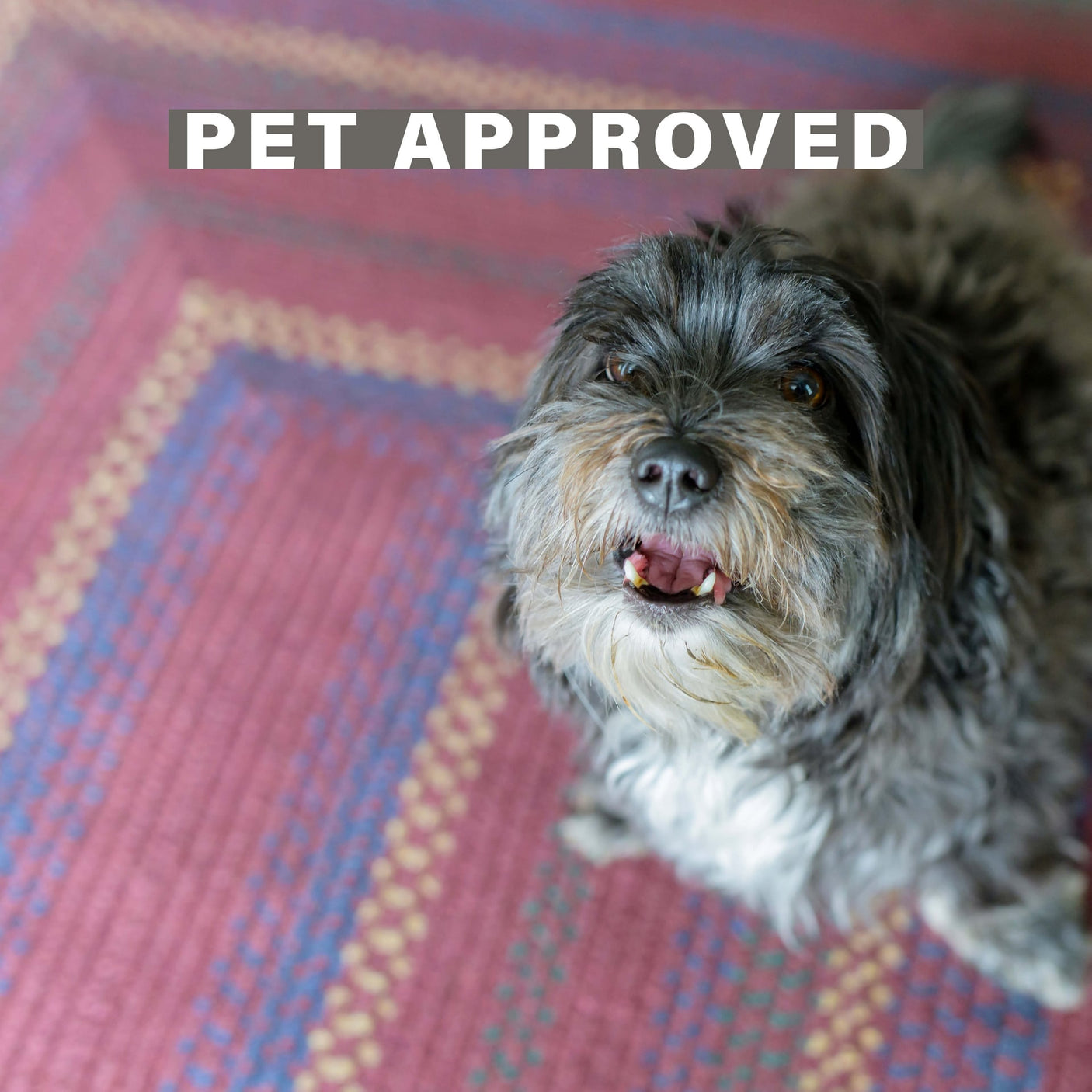 Jamestown Burgundy Jute Braided Rectangular Rugs