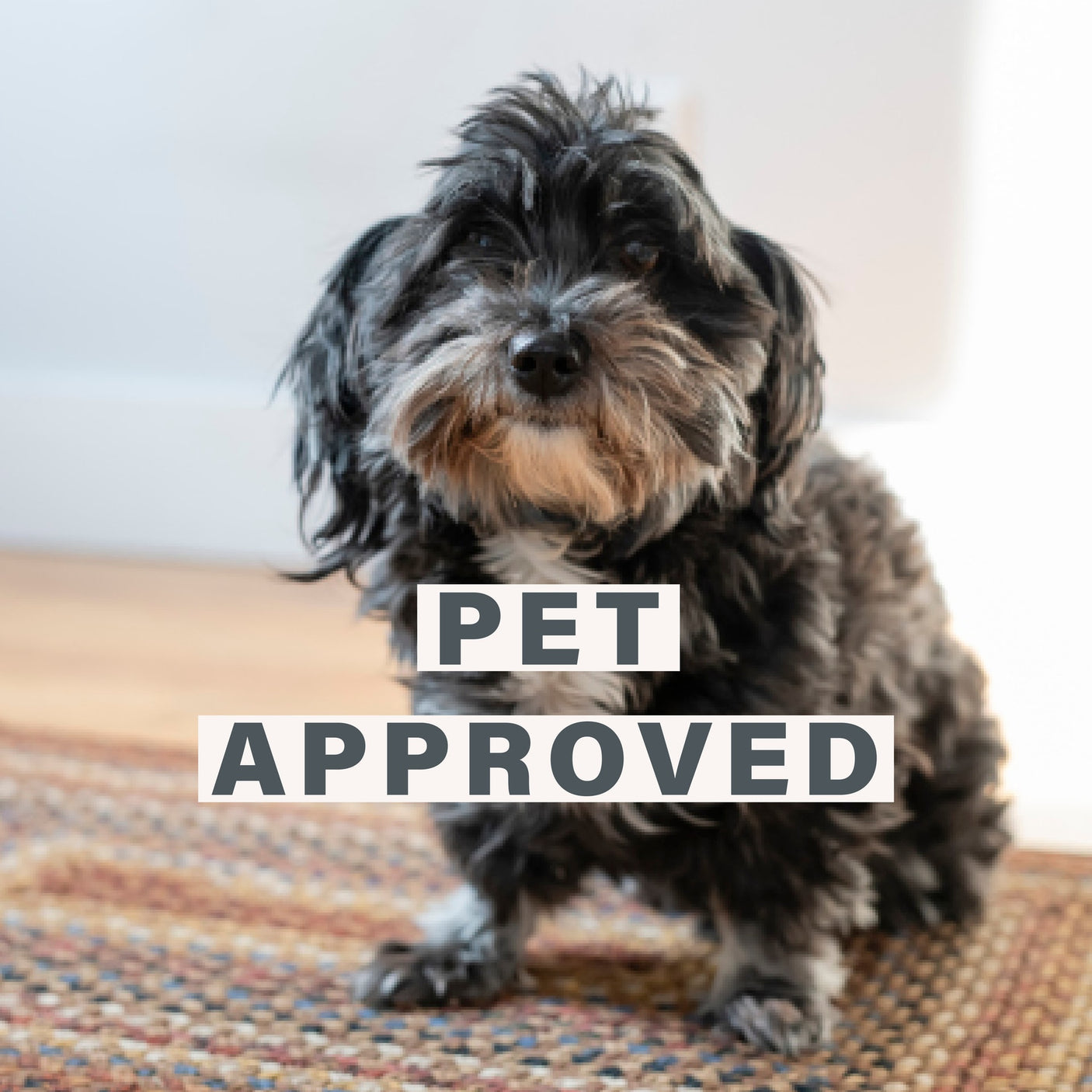 Biscotti Multi Color Cotton Braided Rugs