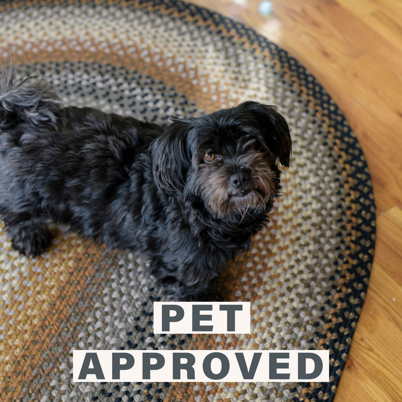 Cotton Cocoabean Amazongraphics