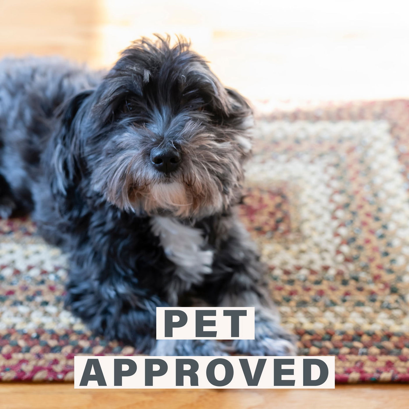 Cotton Pumpkinpie Amazongraphics