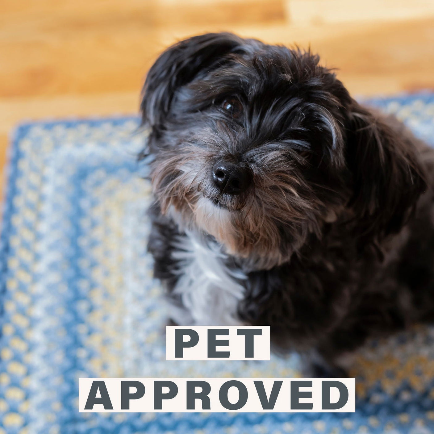 Cotton Sunflower Amazongraphics