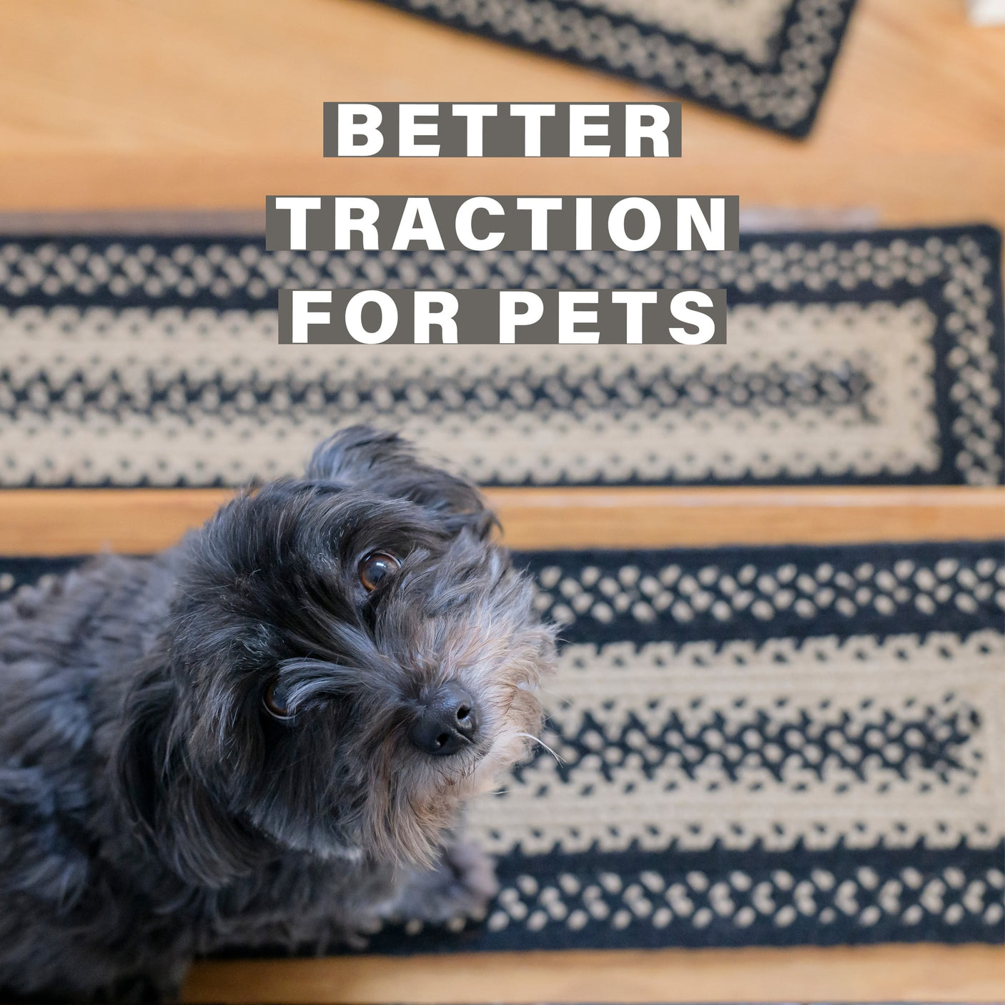 Manchester Black Braided Accessories