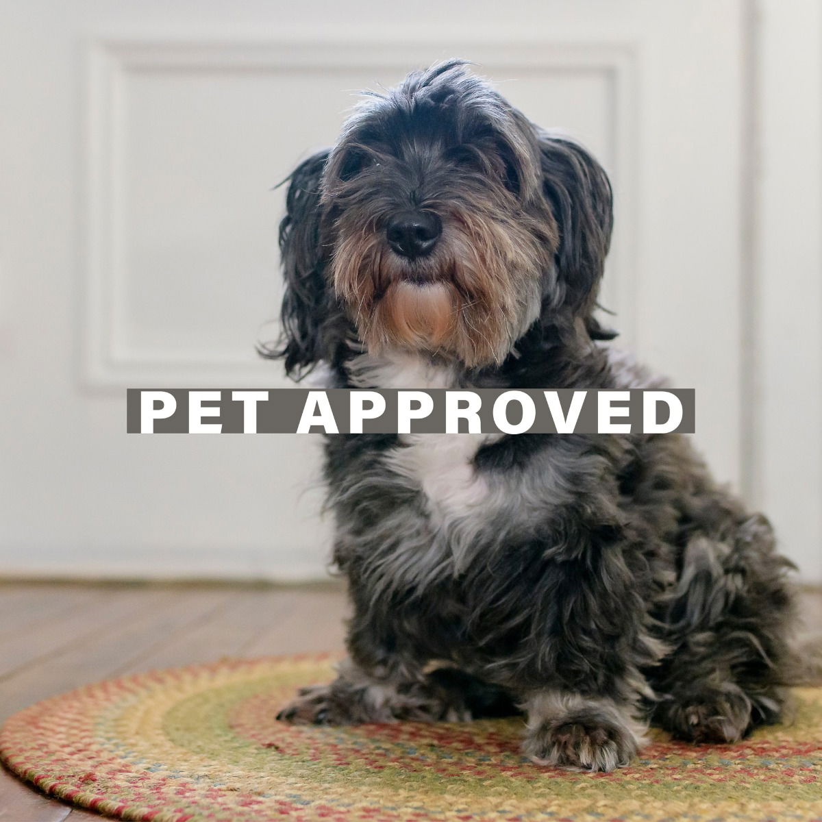 Azalea Multi Color Jute Braided Rectangular Rugs for Pets