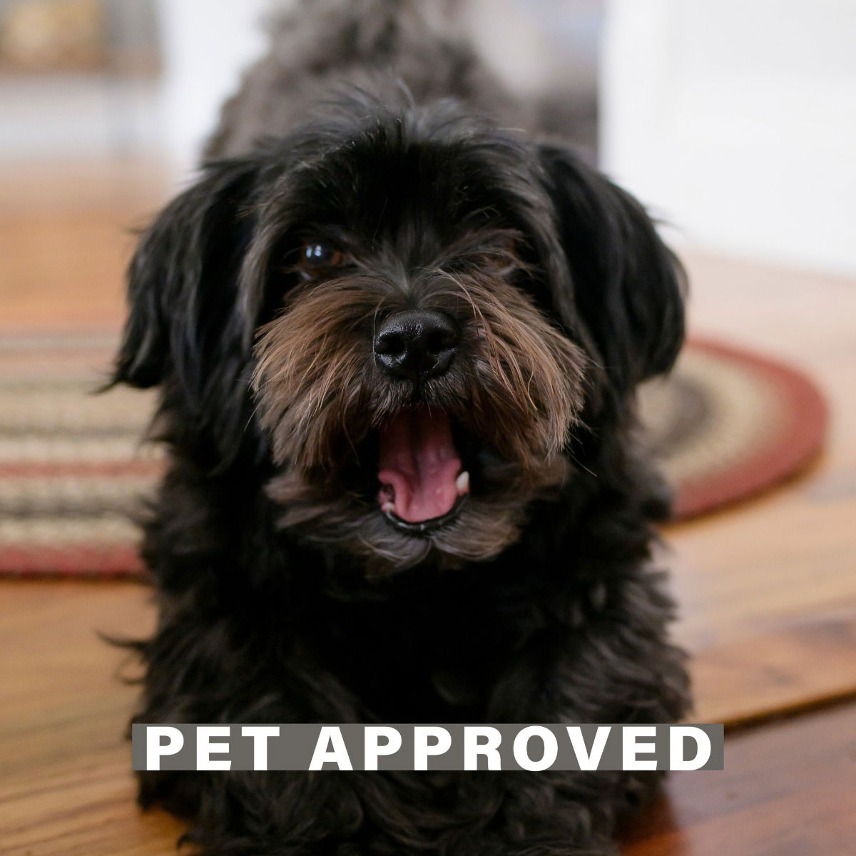 Best Red Jute Braided Oval Rug for Pets