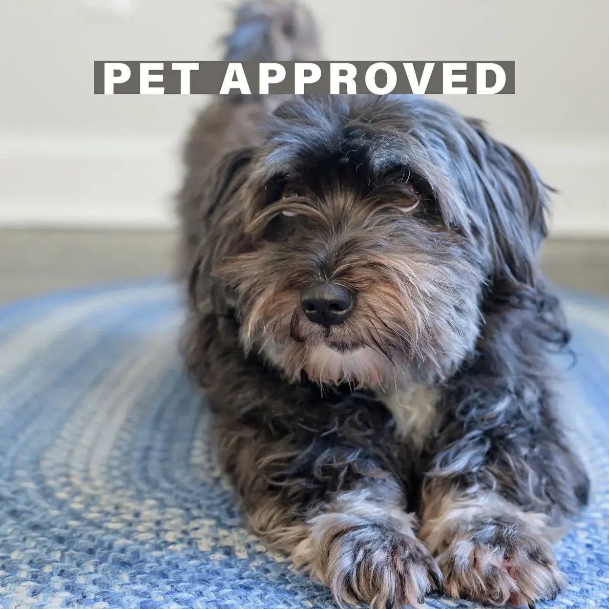 Denim Blue Jute Braided Rugs