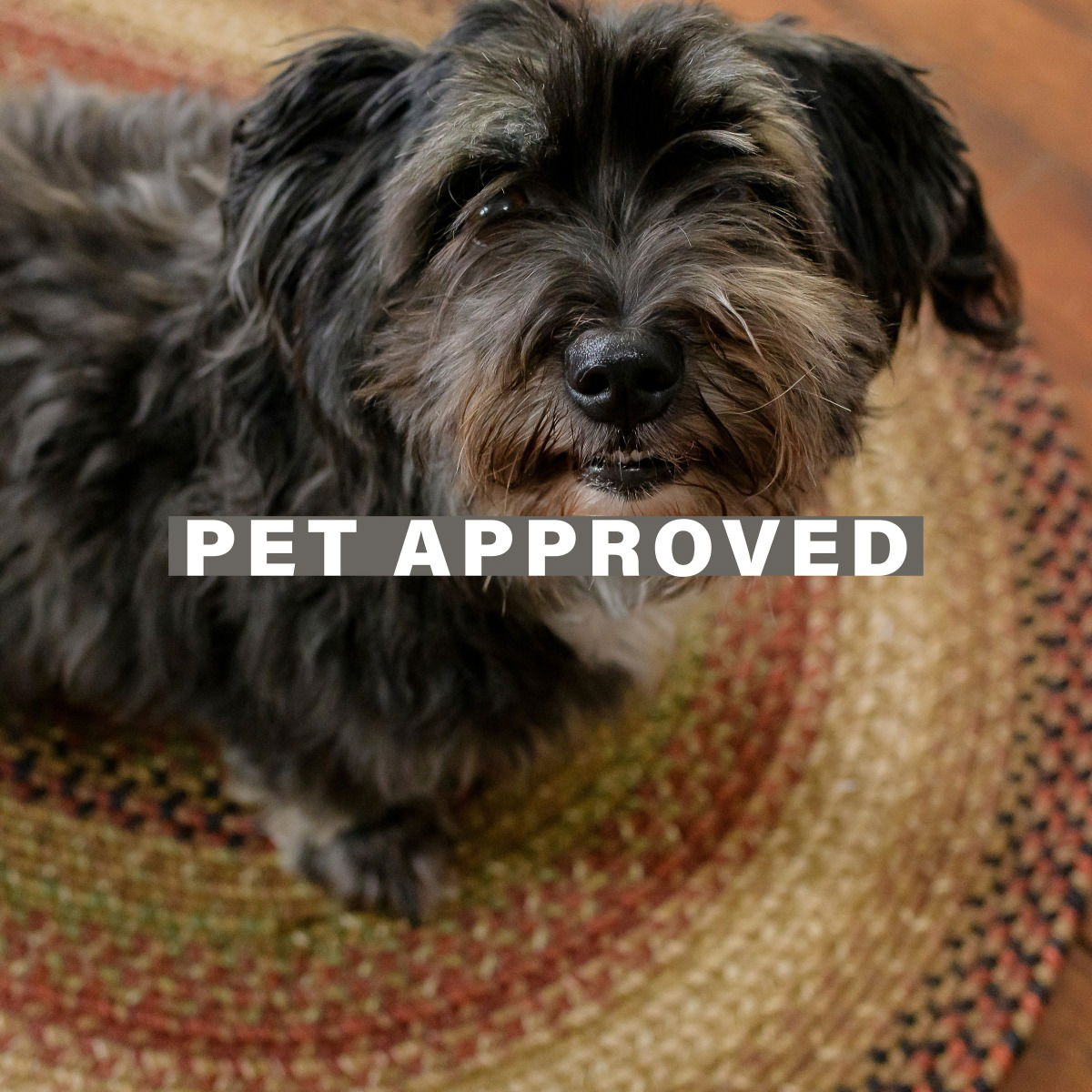 Best Brown Jute Braided oval Rug for Pets