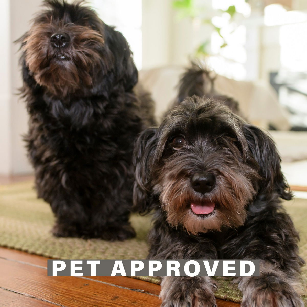 Green Jute Braided Rectangular Rugs For Pets