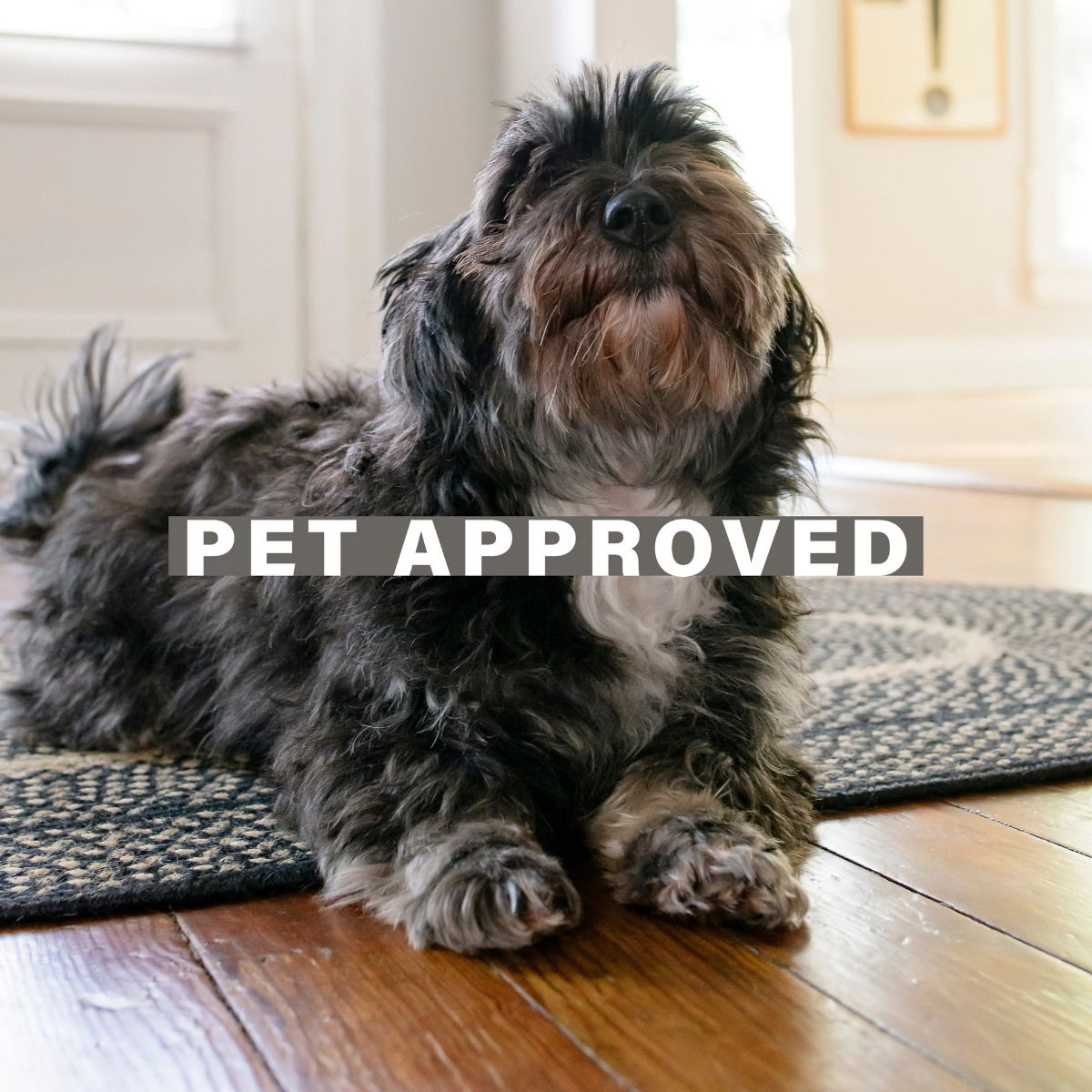 Manchester Black Jute Braided Oval Rug for Pets