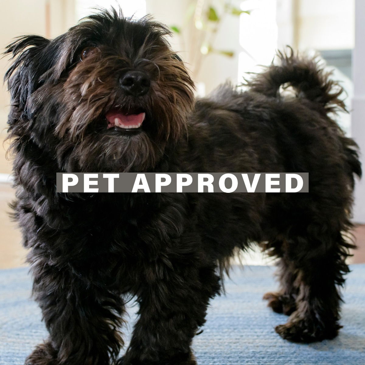 Sky Blue Jute Braided Area Rug for indoor/outdoor use, perfect for entryways, kitchens, living rooms, bedrooms, and pets.