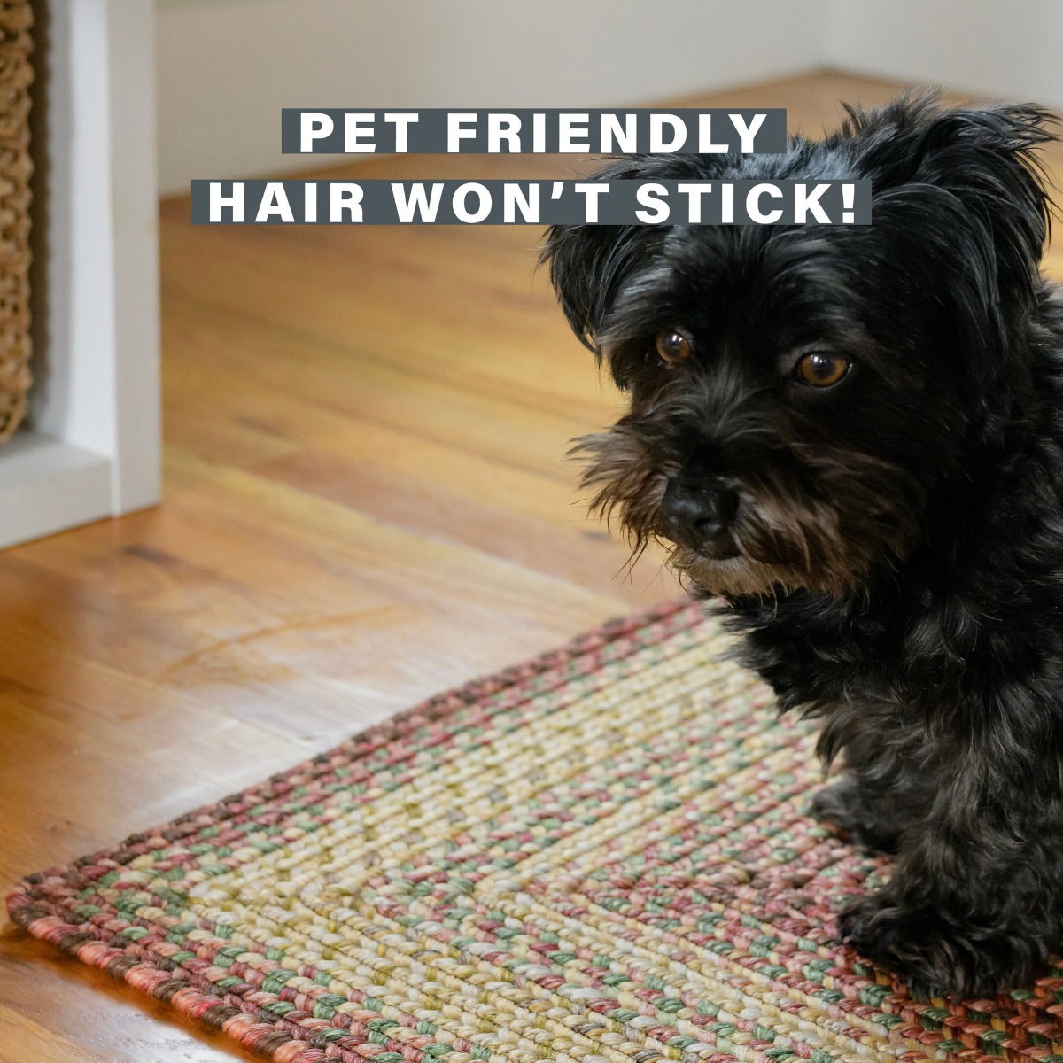 Best Burgundy Braided Rectangular Rug for Pets