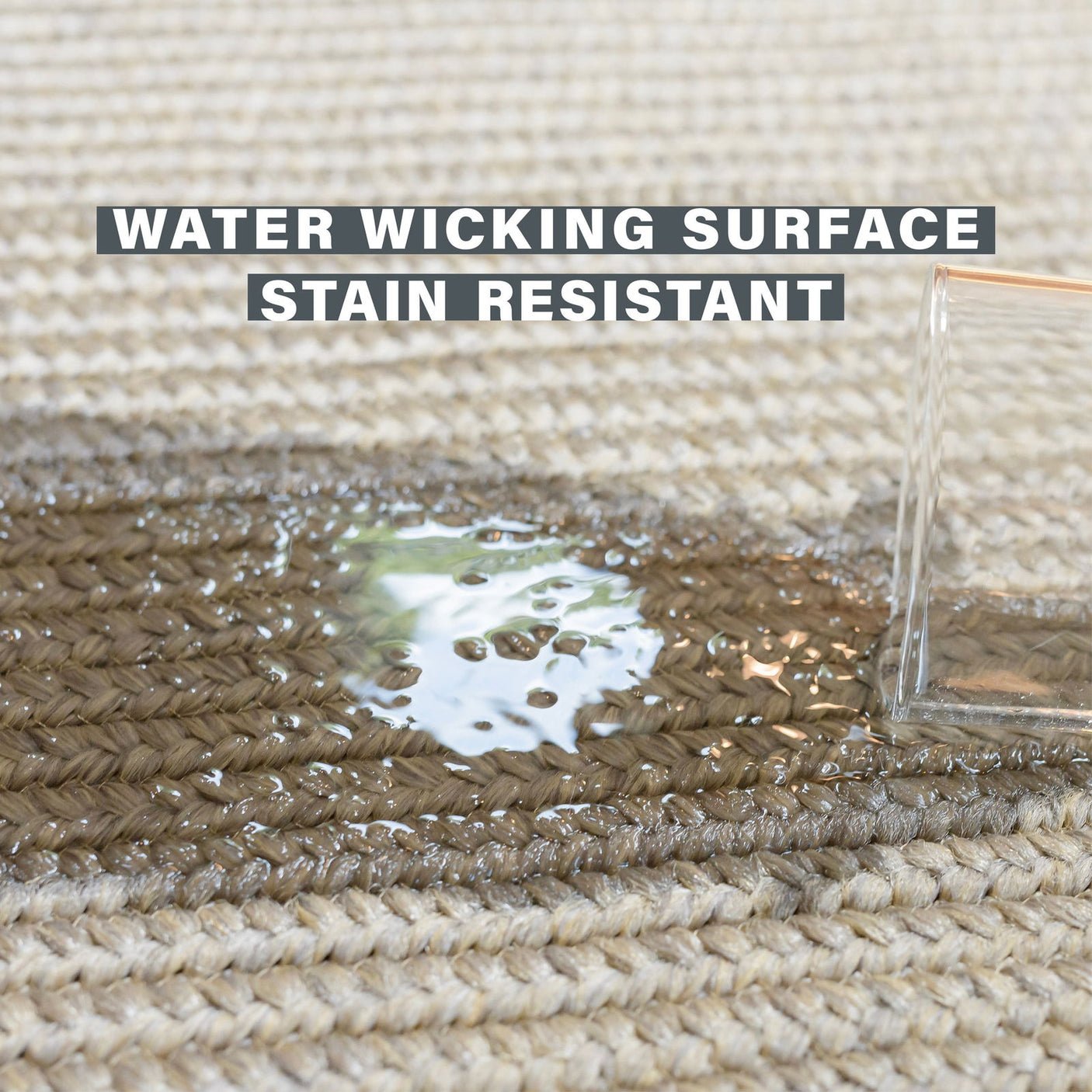 Ud Biscuit Amazongraphics