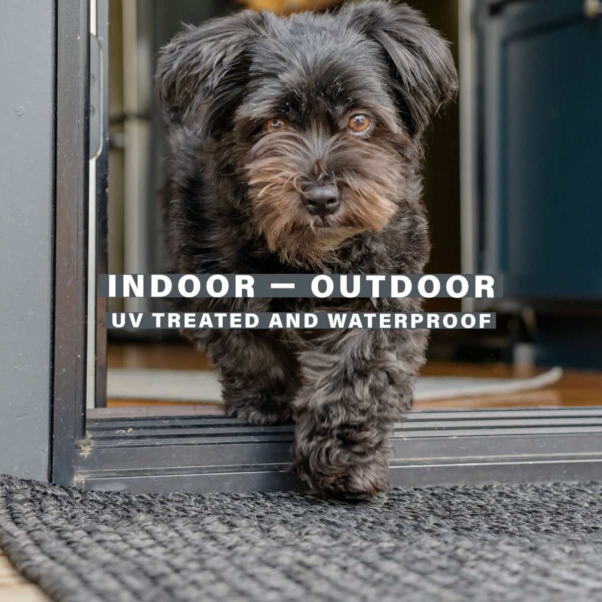 Best Black Braided Rectangular Rug for Dogs