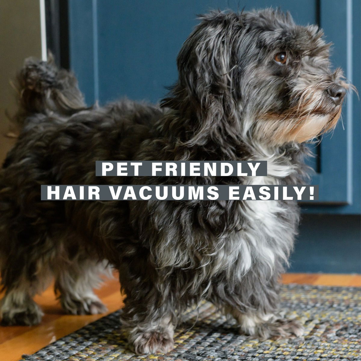 Best Black Braided Rectangular Rug for Pets