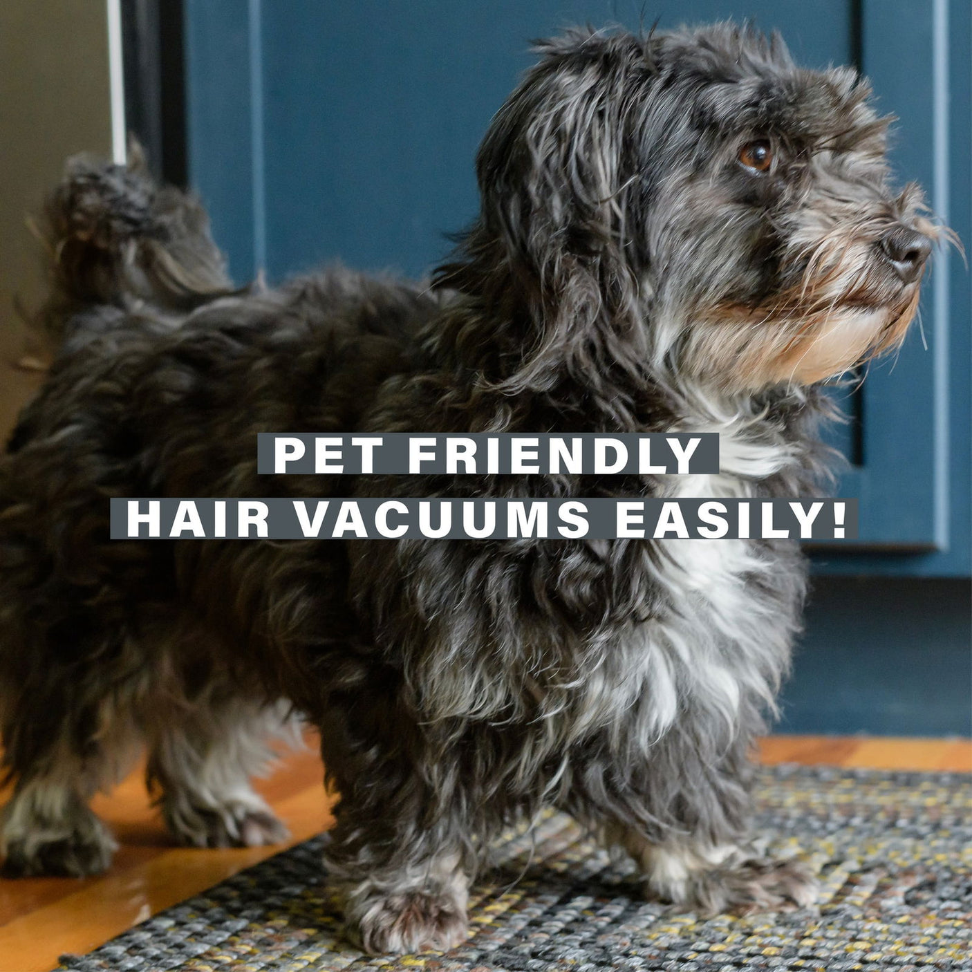 Ud Blackforest Amazongraphics