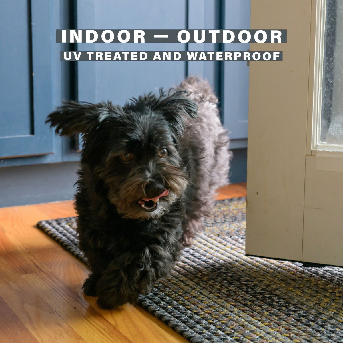 Black Forest Outdoor Braided Oval Rug for dogs