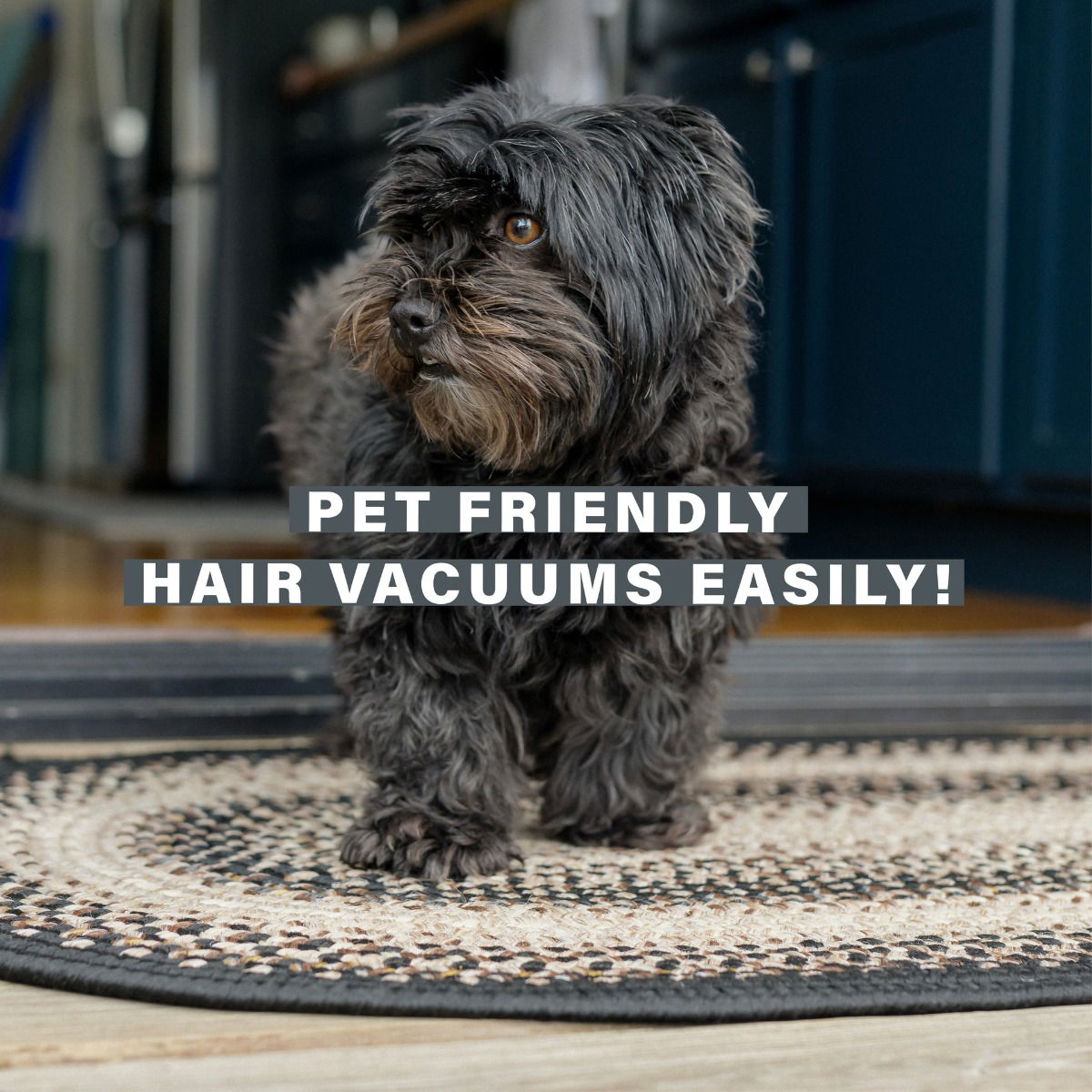 Black Mist oval braided rug for Pets