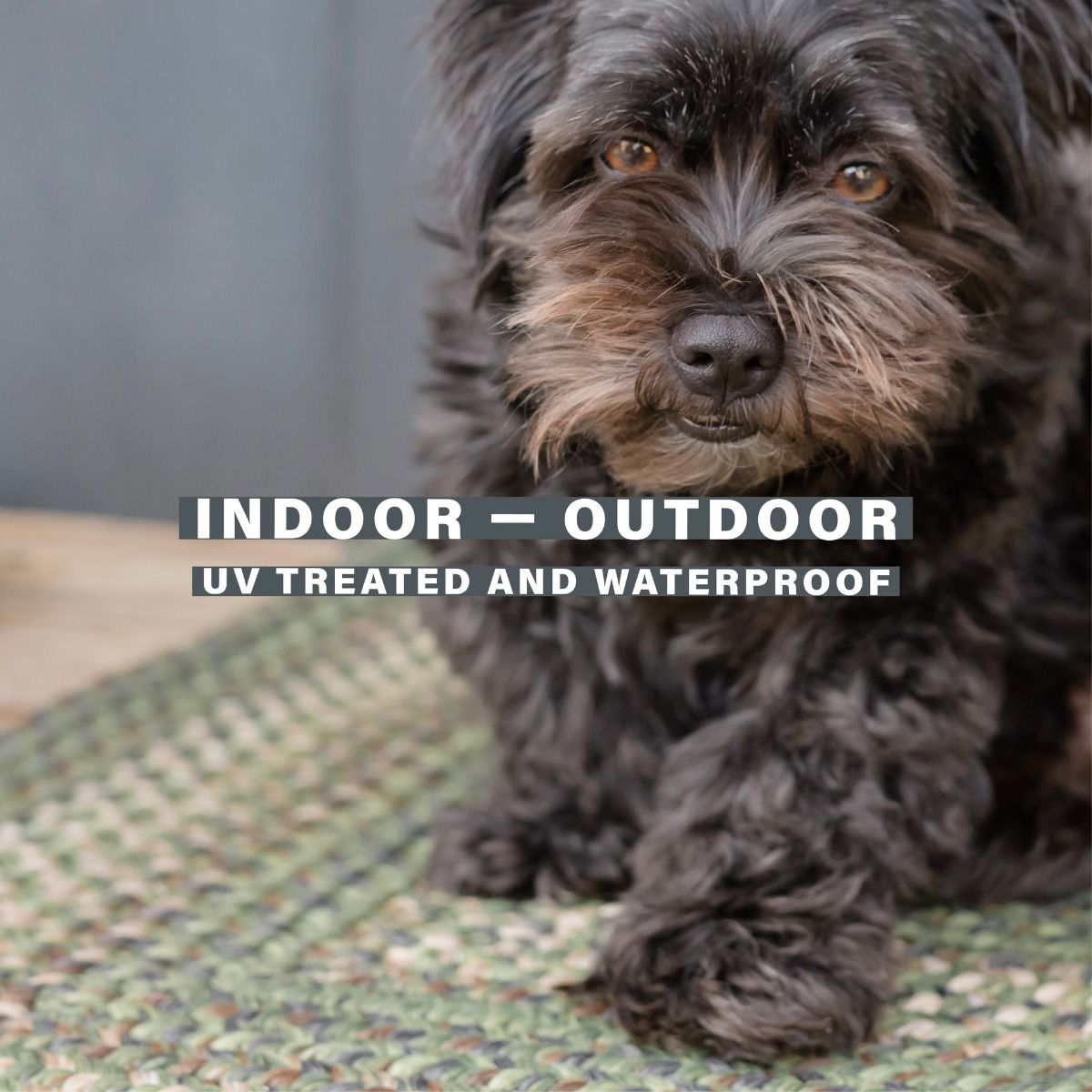 Best Ridge Green Ultra Durable Braided Oval Rug for Dogs