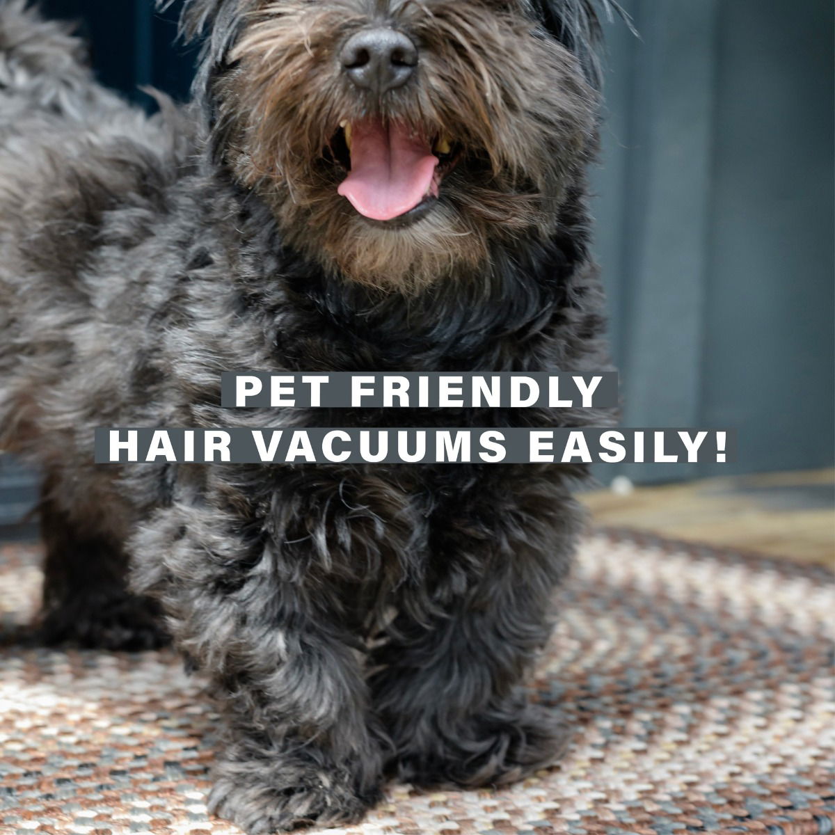 Best Stain Resistant Brown Ultra Durable Braided Rectangular Rug For Pets