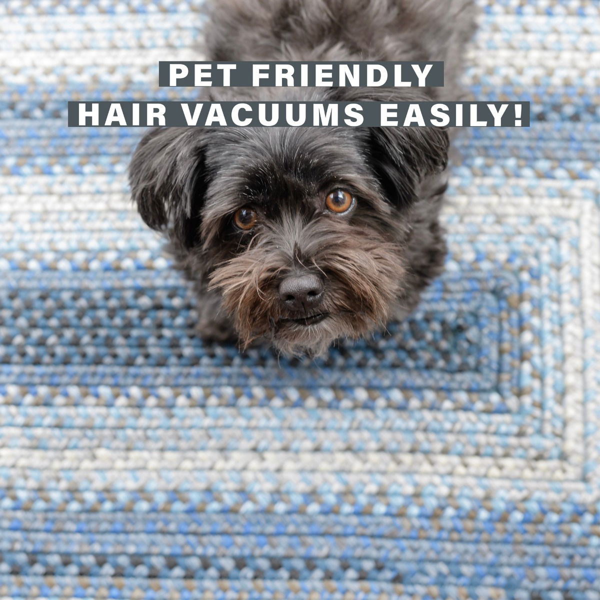 Best Washable Blue Ultra Durable Braided Oval Rugs for Pets