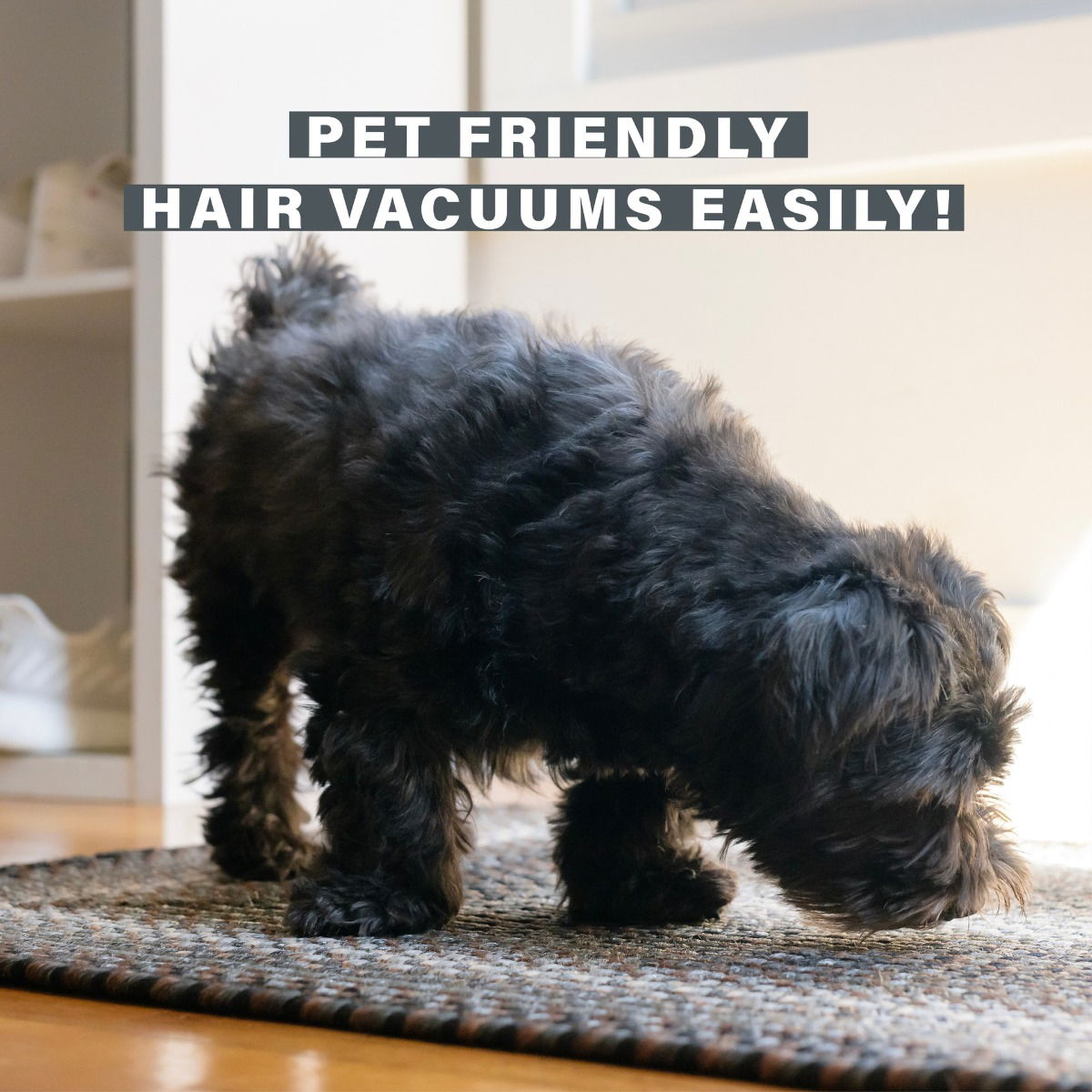 Midnight Moon Brown - Grey Braided Rectangular Rug for Pets