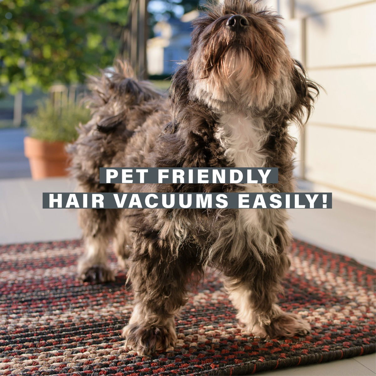 Best Black - Burgundy Braided Oval Rug for Pets