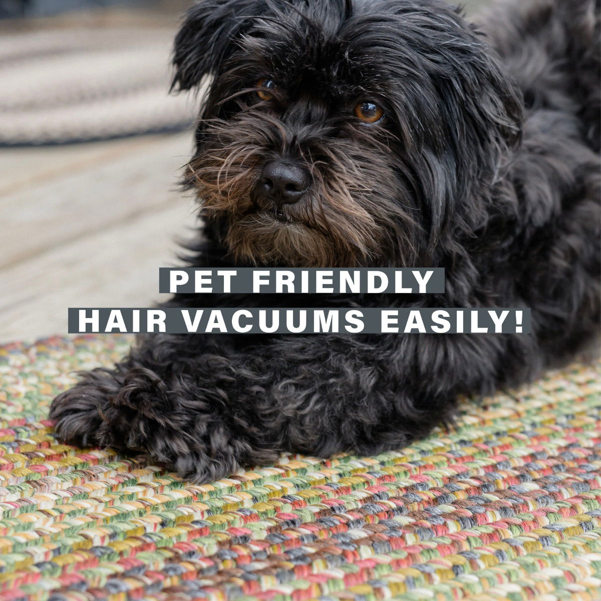 Best Stain Resistant Beige-Red-Green Rectangular UD Braided Rug For Pets