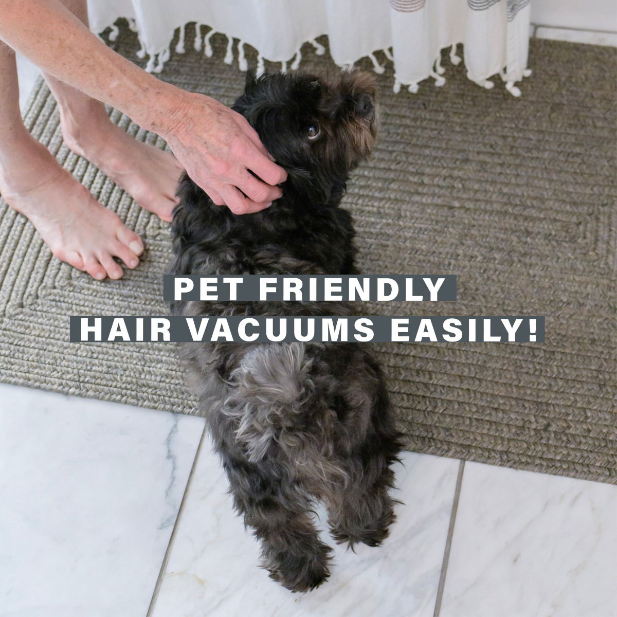 Best Smoke Grey Oval UD Braided Rug for Pets