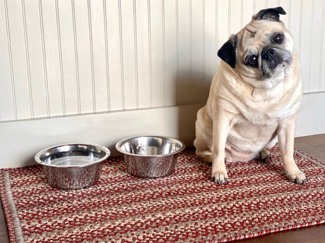 Comfort Meets Durability: Homespice Rugs for Pet-Friendly Homes