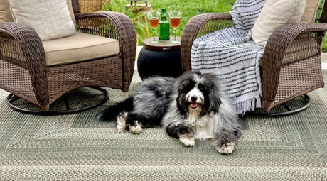 What to Look for in a High-Quality Area Rug