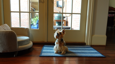 Braided Rugs for Small Spaces: Maximize Style in Minimalist Living with Homespice Décor