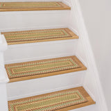 Azalea Multi Color Braided Accessories