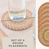 Azalea Multi Color Braided Accessories