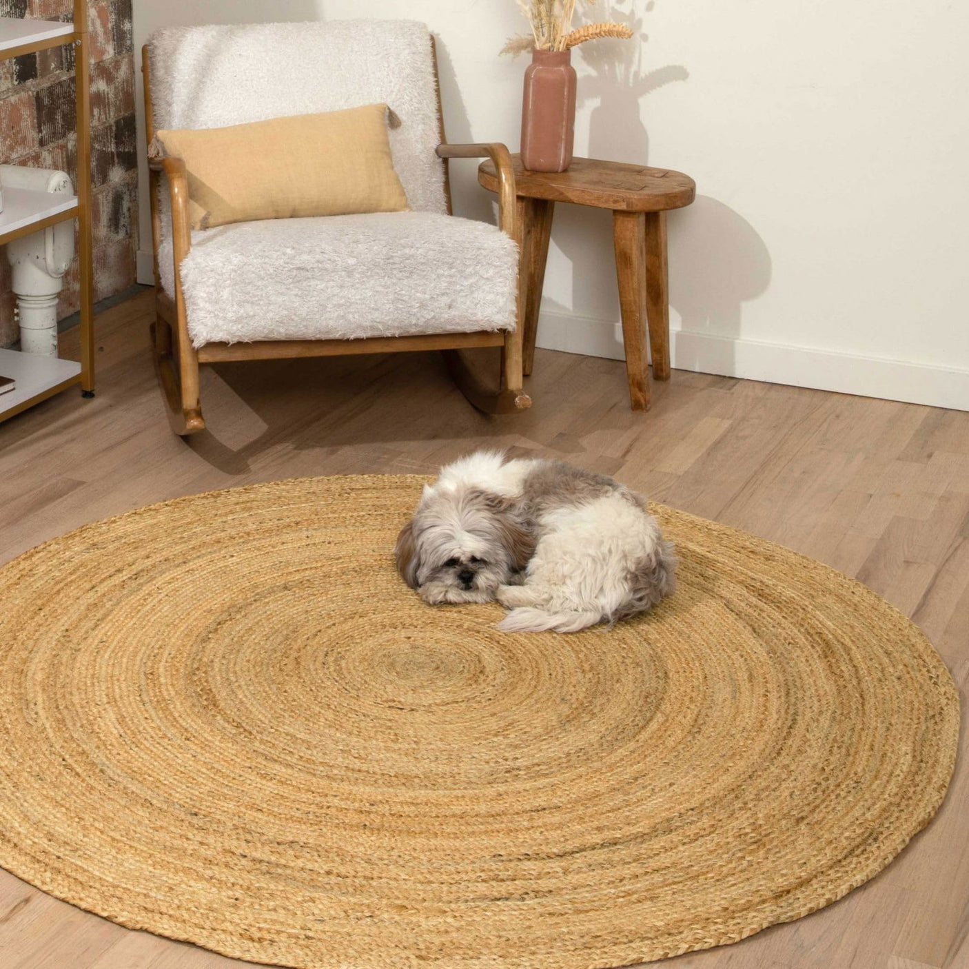 livingroom_rugs