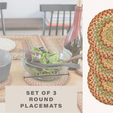 Azalea Multi Color Braided Accessories