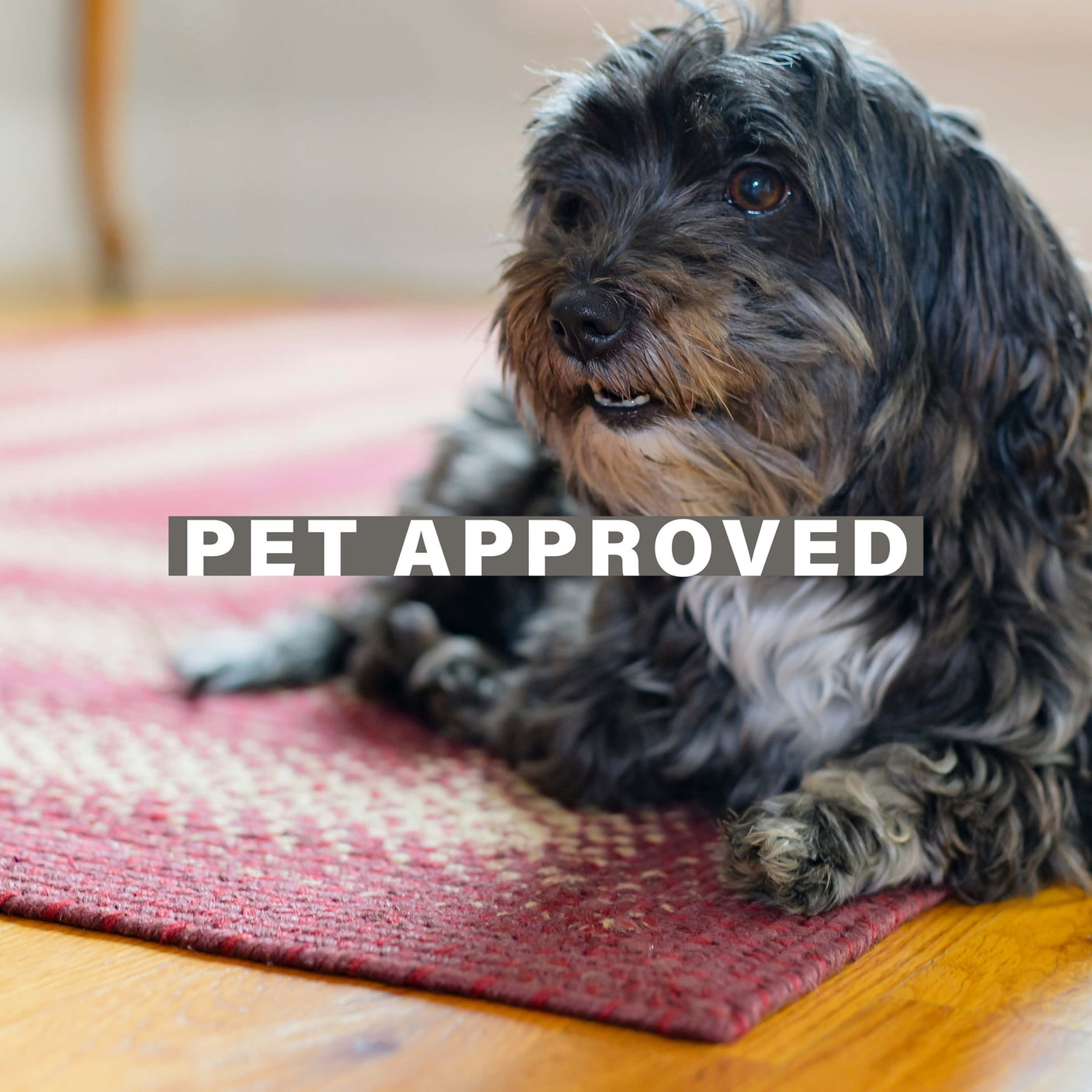 Autumn Maple Burgundy Jute Braided  Rugs Oval