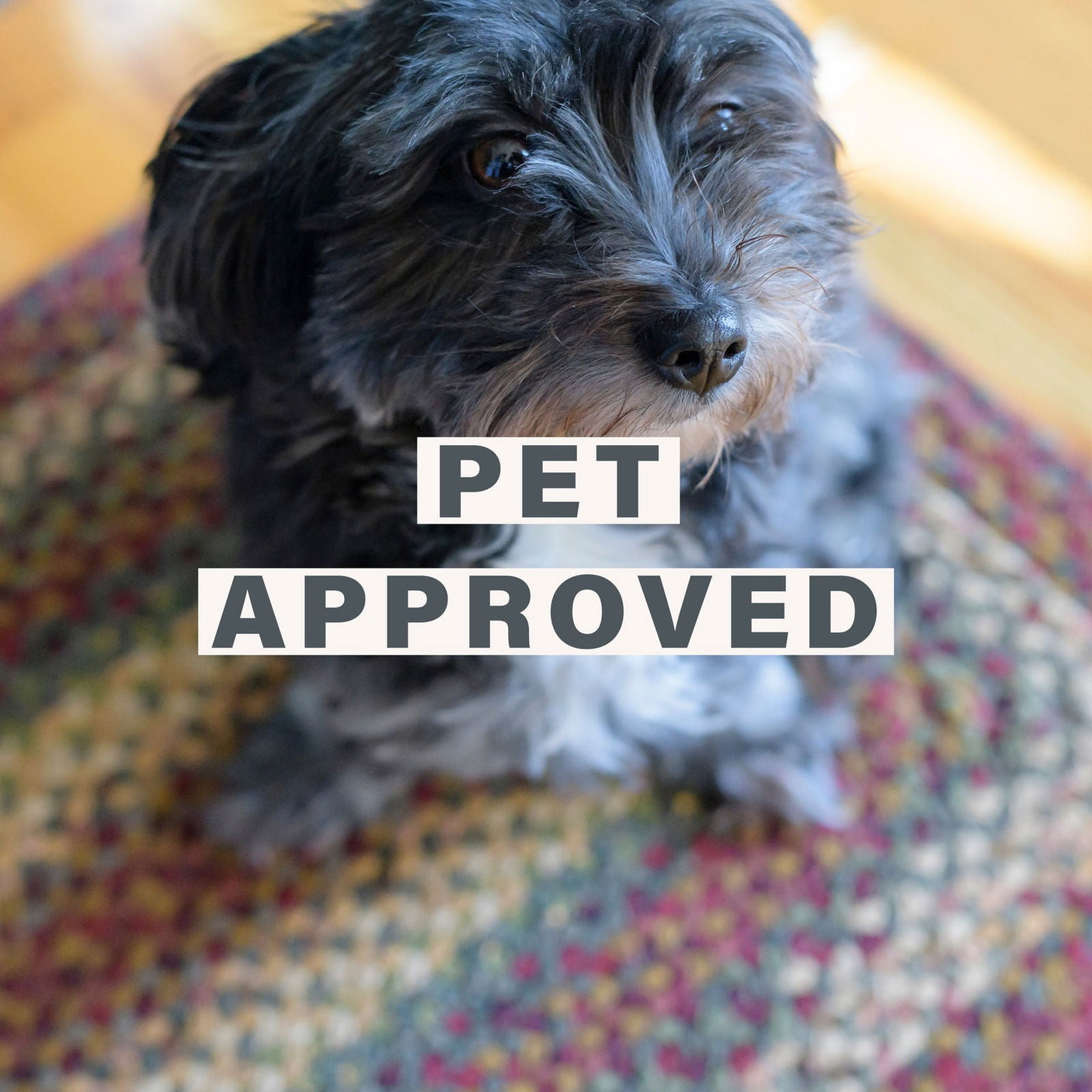 Cotton Neverland Amazongraphics