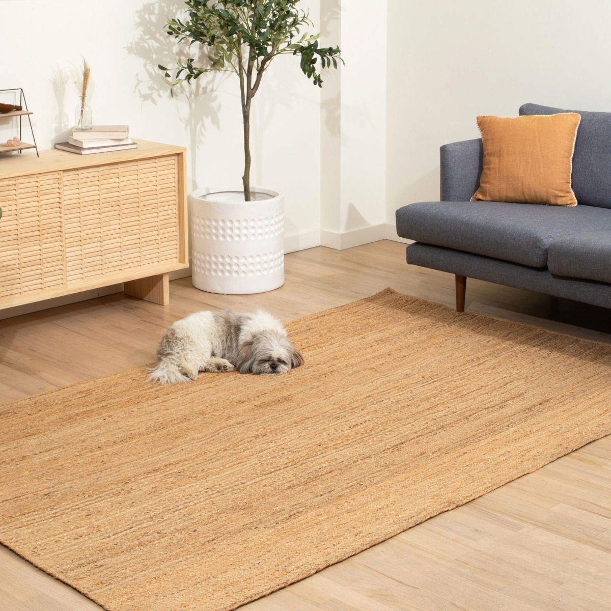 Lara Natural Jute Braided Rectangular Rugs