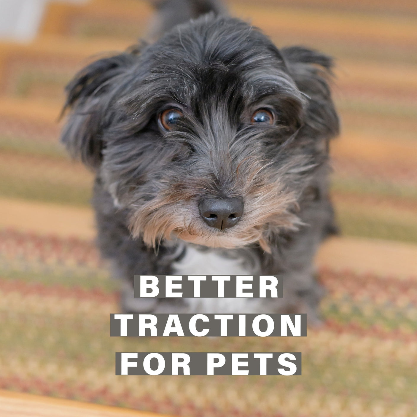 Azalea Multi Color Braided Accessories