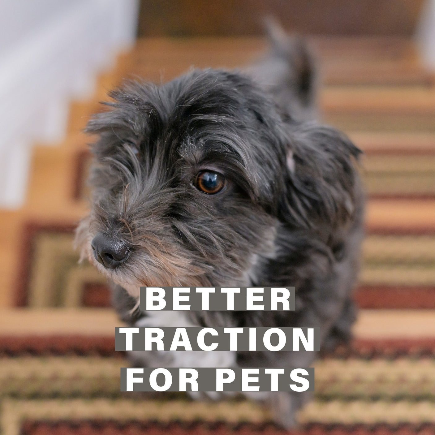 Highland Multi Color Braided Accessories