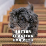 Highland Multi Color Braided Accessories