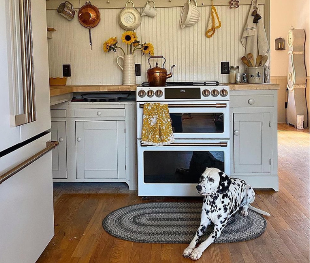 Ultra Durable Rugs