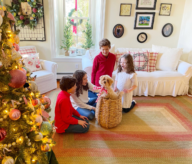 Jute warmth living room Rugs