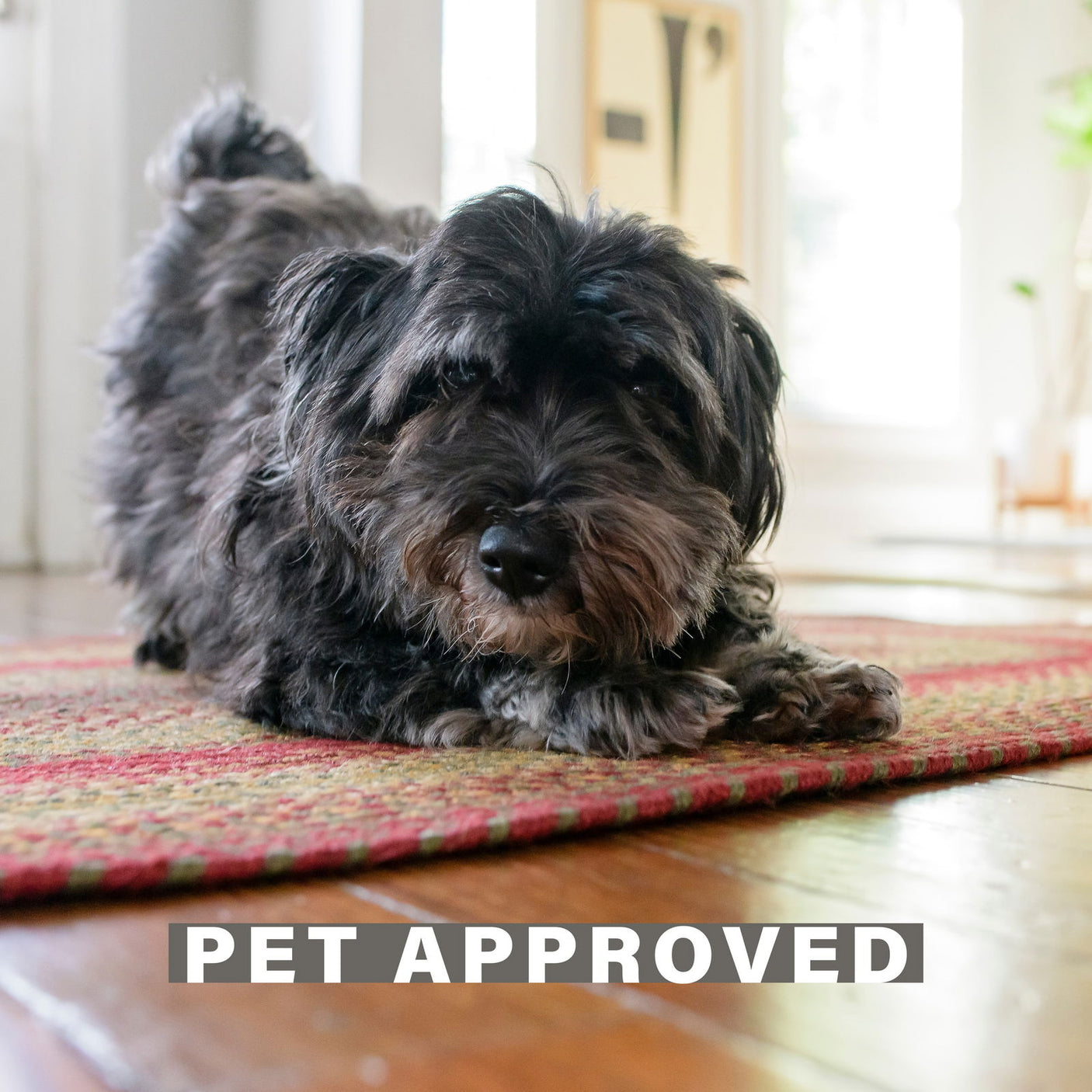 Best red braided Rectangular rug for Pets