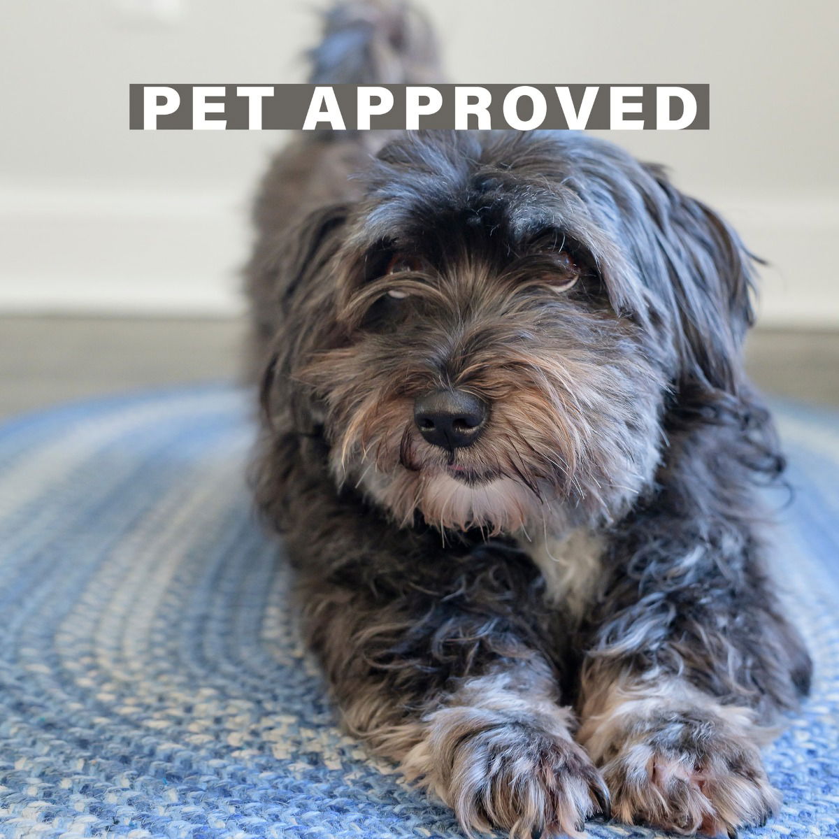 Denim Blue Braided Oval Rug for pets