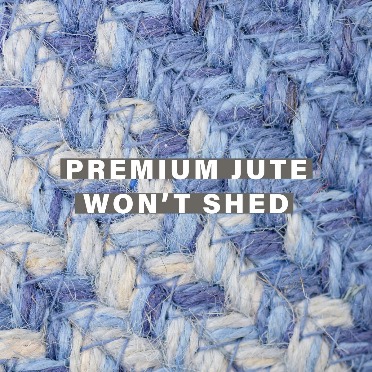 Blue Jute Braided Rectangular Rug in House