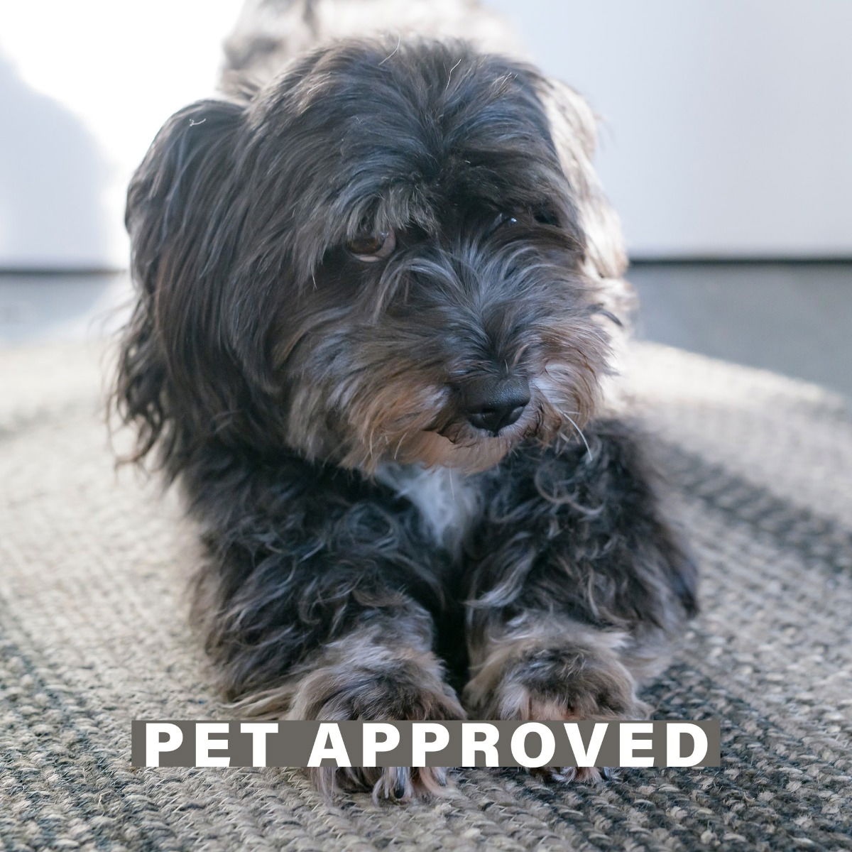 Flint Hill Grey Braided Jute Oval Rug – pet-friendly, durable, perfect for indoor/outdoor, bedroom, kitchen, or living room.